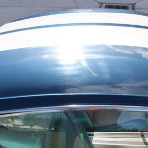 1965 Mustang Fastback detailed at Autogeek Mike Phillips