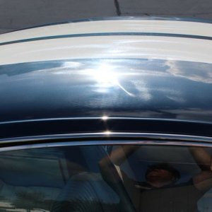 1965 Mustang Fastback detailed at Autogeek Mike Phillips