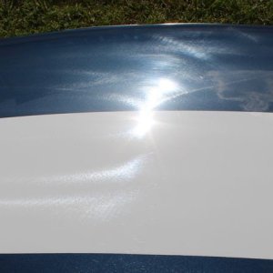 1965 Mustang Fastback detailed at Autogeek Mike Phillips