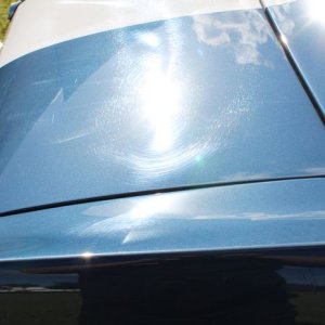 1965 Mustang Fastback detailed at Autogeek Mike Phillips