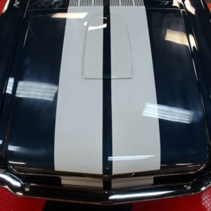 1965 Mustang Fastback detailed at Autogeek Mike Phillips
