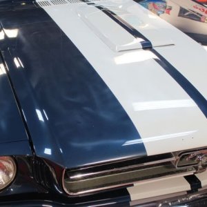 1965 Mustang Fastback detailed at Autogeek Mike Phillips
