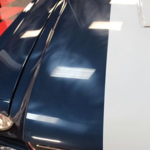 1965 Mustang Fastback detailed at Autogeek Mike Phillips