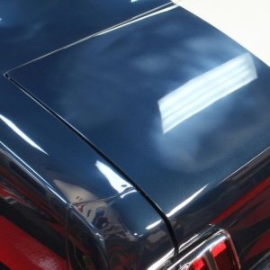 1965 Mustang Fastback detailed at Autogeek Mike Phillips