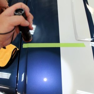 1965 Mustang Fastback detailed at Autogeek Mike Phillips
