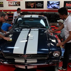 1965 Mustang Fastback detailed at Autogeek Mike Phillips