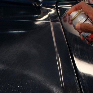 1965 Mustang Fastback detailed at Autogeek Mike Phillips