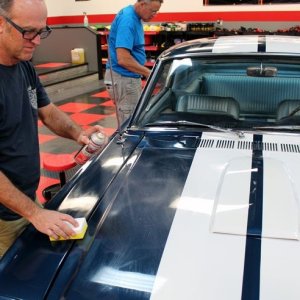 1965 Mustang Fastback detailed at Autogeek Mike Phillips