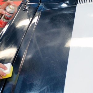 1965 Mustang Fastback detailed at Autogeek Mike Phillips