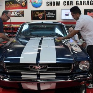 1965 Mustang Fastback detailed at Autogeek Mike Phillips