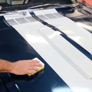 1965 Mustang Fastback detailed at Autogeek Mike Phillips