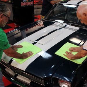 1965 Mustang Fastback detailed at Autogeek Mike Phillips