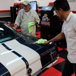 1965 Mustang Fastback detailed at Autogeek Mike Phillips
