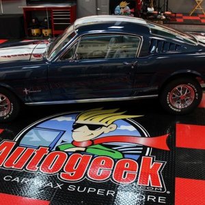 1965 Mustang Fastback detailed at Autogeek Mike Phillips