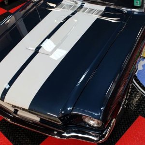 1965 Mustang Fastback detailed at Autogeek Mike Phillips