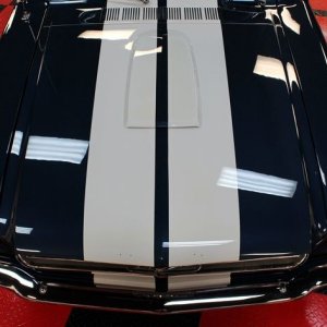 1965 Mustang Fastback detailed at Autogeek Mike Phillips