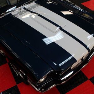 1965 Mustang Fastback detailed at Autogeek Mike Phillips