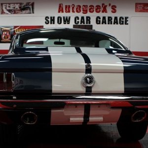 1965 Mustang Fastback detailed at Autogeek Mike Phillips