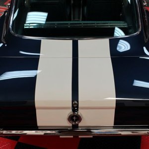 1965 Mustang Fastback detailed at Autogeek Mike Phillips