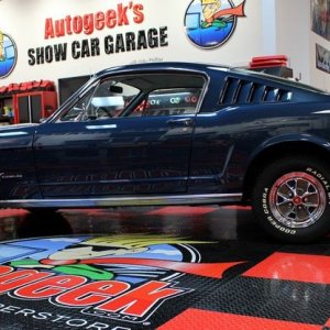 1965 Mustang Fastback detailed at Autogeek Mike Phillips