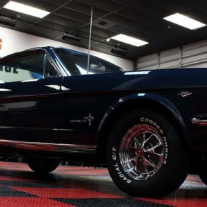 1965 Mustang Fastback detailed at Autogeek Mike Phillips
