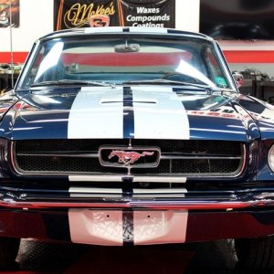1965 Mustang Fastback detailed at Autogeek Mike Phillips