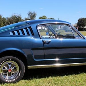 1965 Mustang Fastback detailed at Autogeek Mike Phillips