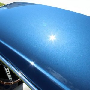 1965 Mustang Fastback detailed at Autogeek Mike Phillips