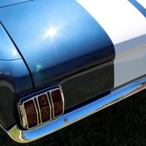 1965 Mustang Fastback detailed at Autogeek Mike Phillips
