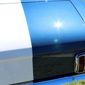 1965 Mustang Fastback detailed at Autogeek Mike Phillips