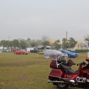 IMG_4768