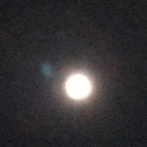 IMG_16764