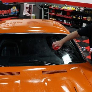 Griots Garage Synthetic Clay Mike Phillips