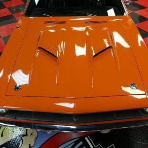 Griots Garage Synthetic Clay Mike Phillips