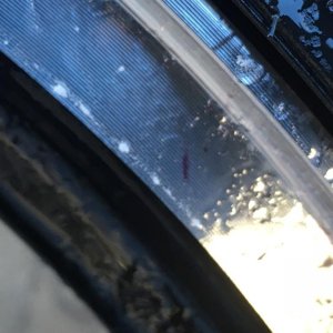 IMG_7248a