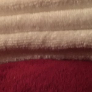IMG_19673