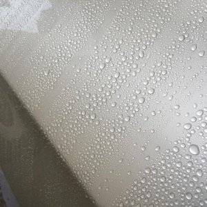 5 Month Rain Beads 12/31/2016