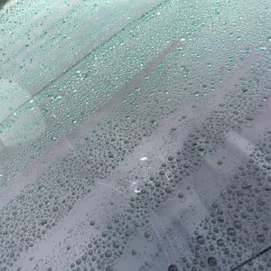 5 Month Rain Beads 12/31/2016