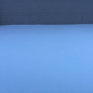 IMG_20481