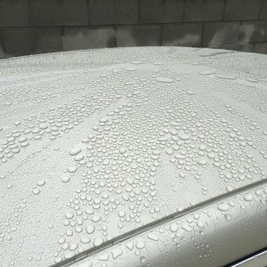 Rain 1/04/2017