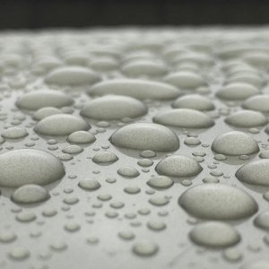 Rain 1/04/2017
