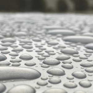 1 Day Old Opti Seal Rain 1/4/2017