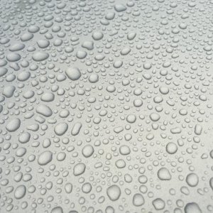 1 Day Old Opti Seal Rain 1/4/2017