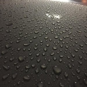 Rain Beads 1/12/2017