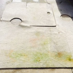 Mold Mitigation for Boats Parker Richards Mike Phillips