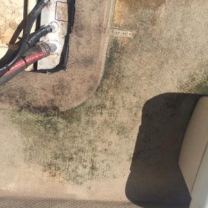 Mold Mitigation for Boats Parker Richards Mike Phillips