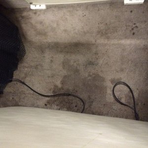 Mold Mitigation for Boats Parker Richards Mike Phillips