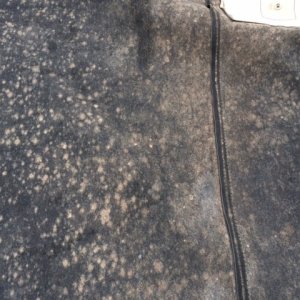 Mold Mitigation for Boats Parker Richards Mike Phillips