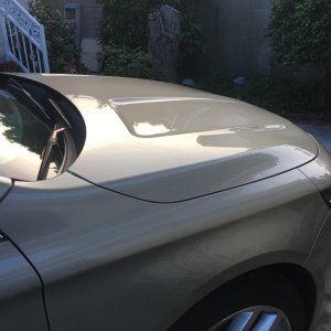 Gloss Coat + ONR + Ech20