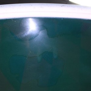 25 Bluewater Center Console Boat Detailing Class Mike Phillips